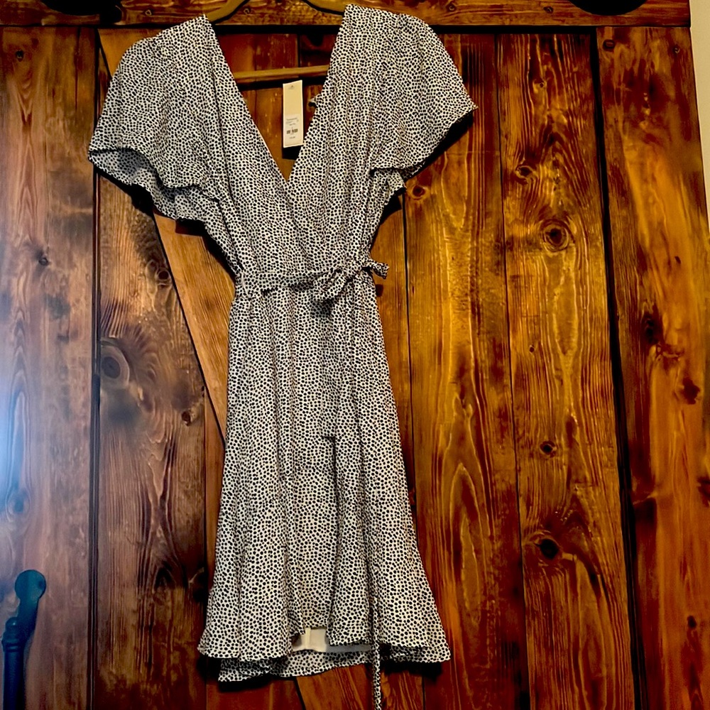 Francesca’s Dress